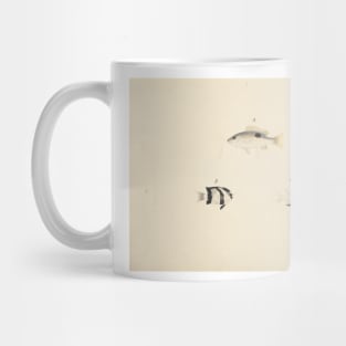 Three Unidentified Fish by Luigi Balugani Mug